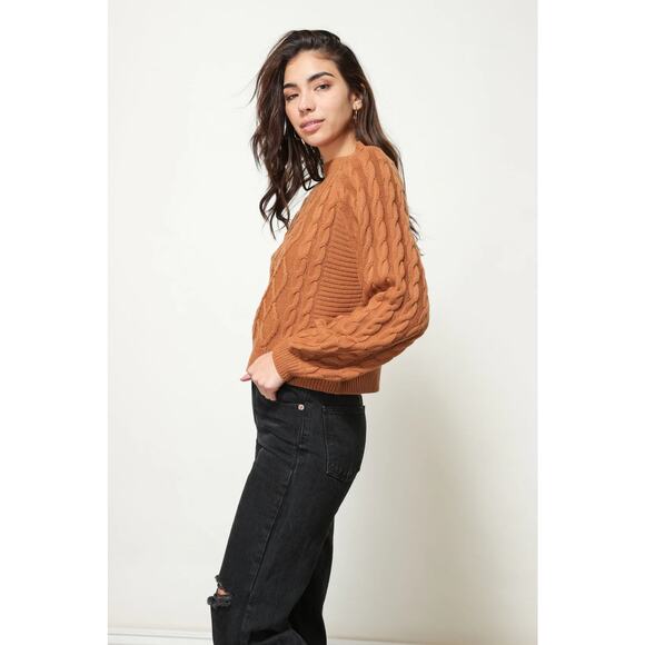 Line & Dot Brown Cable Knit Mock Neck Long Sleeve Pullover Sweater Top Size S - Picture 4 of 9